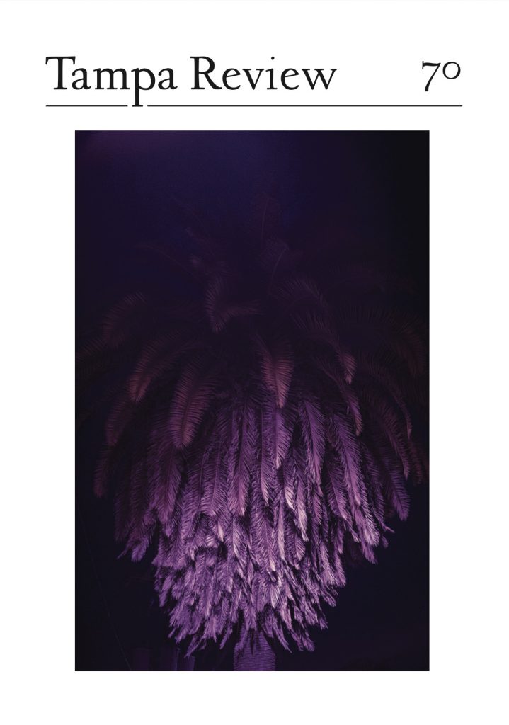 Tampa Review 70 cover