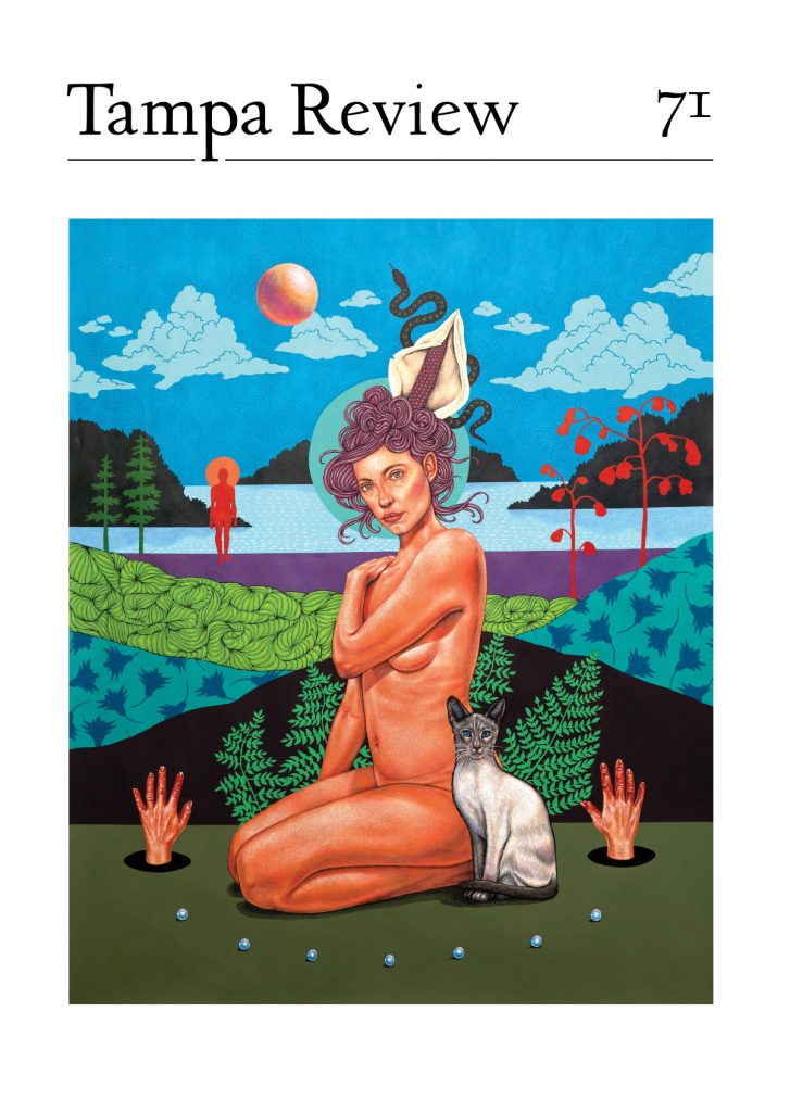 cover for Tampa Review 71